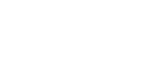 Brazilian-American Chamber of Commerce Southeast